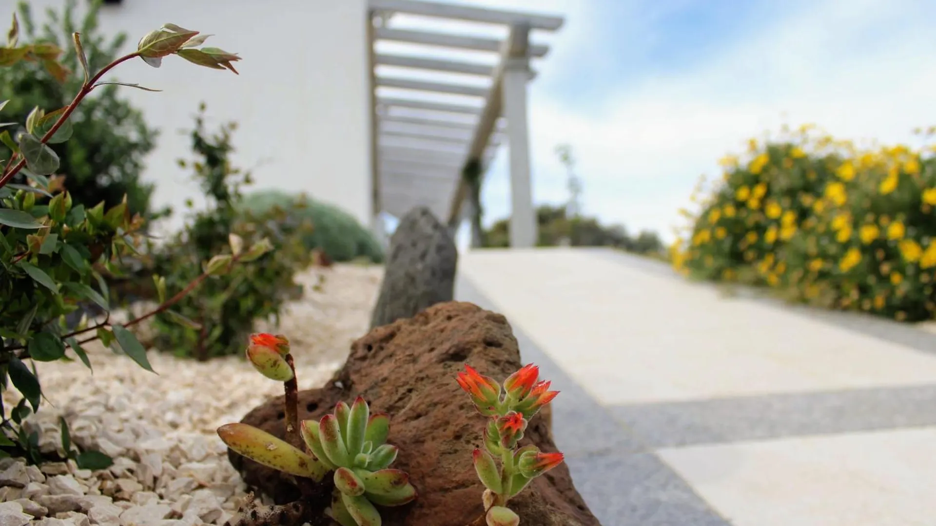 Luxury Country Villa By Sardiniagem, Walk To Beach Orosei